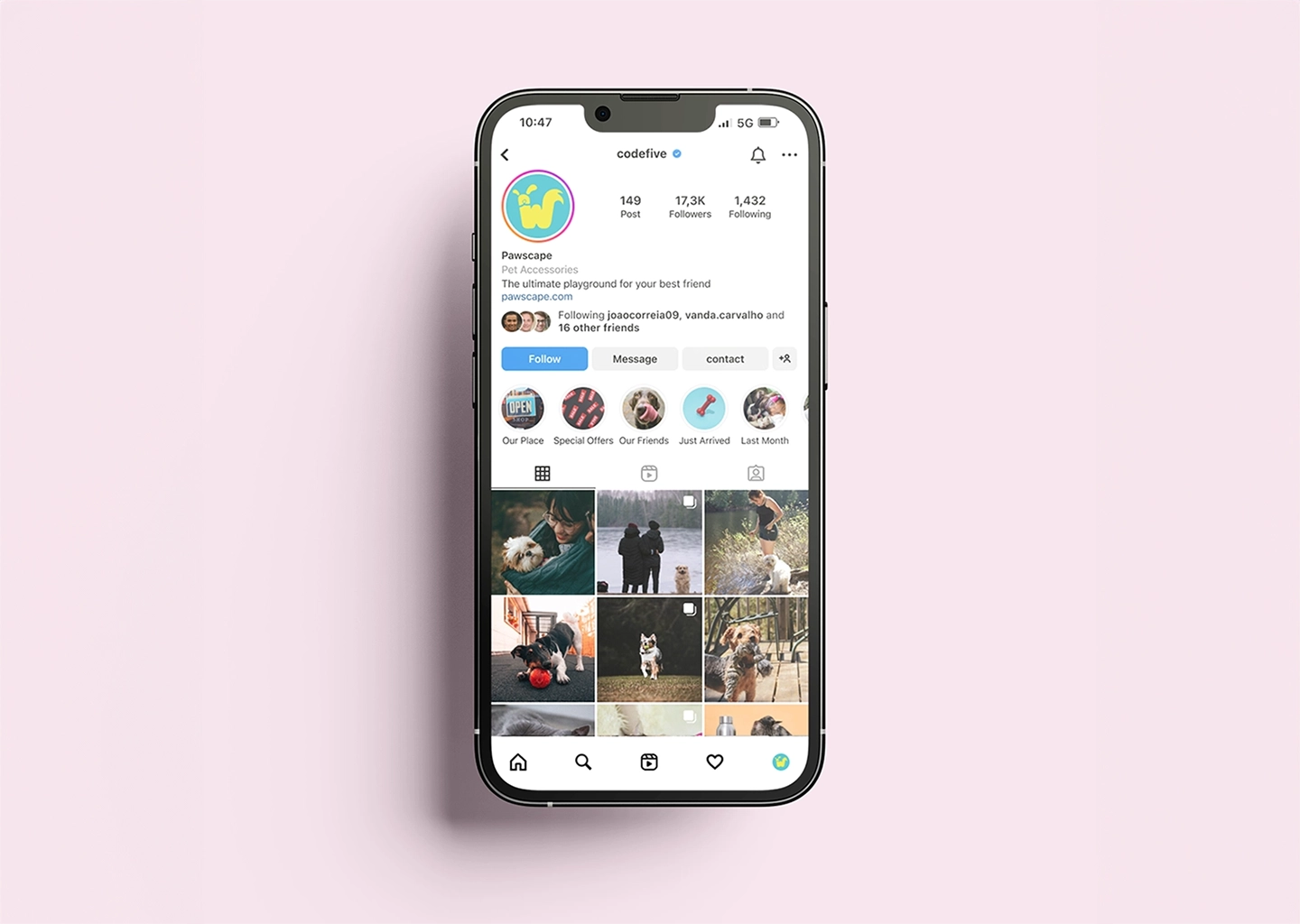 pawscape instagram feed